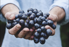 改變3號人格有害思維的關鍵彎道