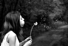 1號性格特征全方位透析