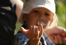 【如何養(yǎng)育9號孩子】9號孩子的特點