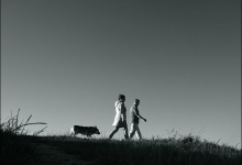 2號(hào)營銷<需要特權(quán)>