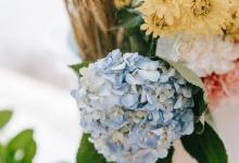 ?6號的行為特質(zhì)