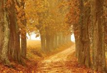 ?與7號溝通的要點：