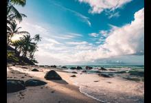 ?激發(fā)8號(hào)的要點(diǎn)：