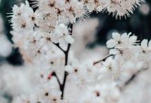 ? 9號(hào)的思維方式