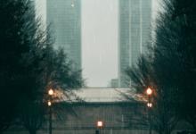 8號的性格分支點（3）