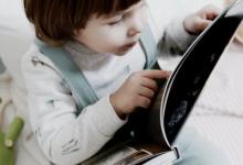 【2 號(hào)性 格 vs. 4 號(hào)性格】工作伙伴