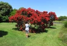 行為習慣：你好我好大家好