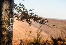 善用比自己強的人