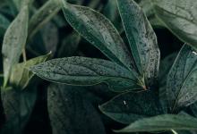 將合適的人才安置在合適位置上