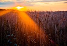 九型客戶與銷售方案解讀