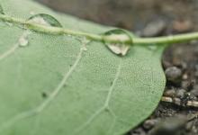 如何管理問題員工