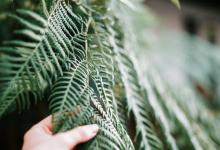 怎樣與性格不同的戀人過情人節（下篇）