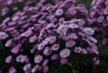 【與他人溝通時的注意要點】6號