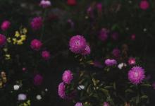 【與他人溝通時的注意要點】9號