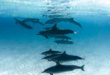 愛是孩子成長的精神食糧