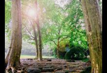 7?號(hào)享樂(lè)型孩子的培育要點(diǎn)