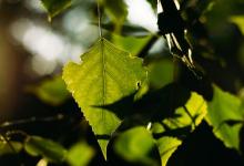 【4號】如何應對完美型客戶