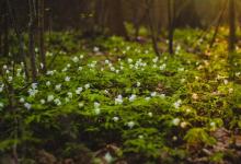 【4號】如何應對娛樂型客戶