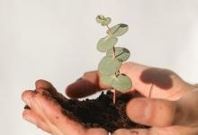 【7號銷售】7號娛樂型 客戶破解之道：破耙式