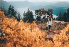 性副型----1號(hào)