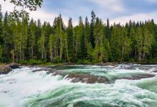 自我保存副型----9號(hào)