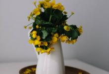 關于領導力，你不可不知的那些事兒