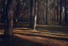 1號性格vs.9號性格：完美主義者vs.調(diào)停者