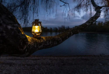 九種領導藝術的體現