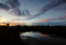 個人成長教練如何支持九種不同型號的人教練支持一號成長的要點