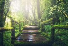 九型人格tritype各類型以及副型區別