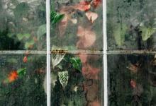 9號調停者的檔案