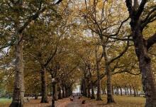 九型人格調查問卷：9號平和型