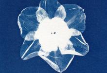 9號性格是如何形成的？