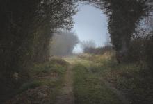 職場戀愛之七號活躍型壓力狀態(tài)