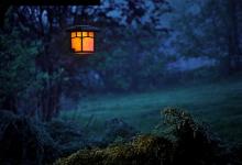 七號活躍型—創(chuàng)意而怪誕思想家