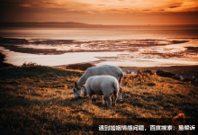 職場戀愛之六號疑惑型的反應