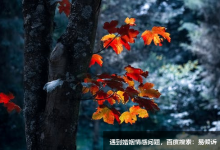 一位正6學員的感悟