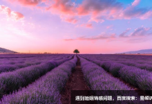 九型人格--六號疑惑型的優勢