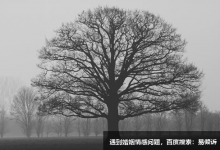 九型人格之六號疑惑型人的性格特質重點