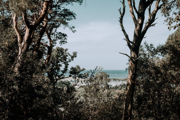 1號與3號的相處之道與區分點