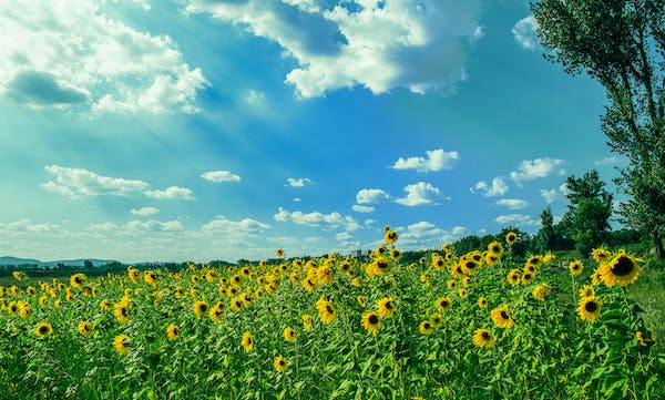 如何與 4 號相處？