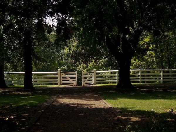 5 號的5個行為特征