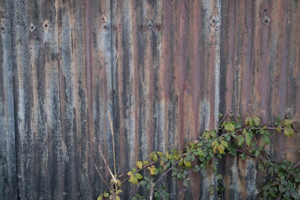 九型人格的性格枷鎖（5號理智型）