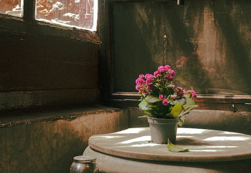 九型人格6號與7號：謹慎計劃與樂觀探索的結合