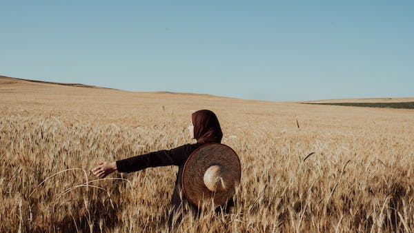 2-8-3：助人型、領(lǐng)袖型、成就型