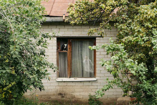 intj和intp合不來