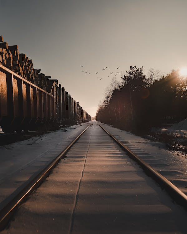 intp的成長歷程很難嗎