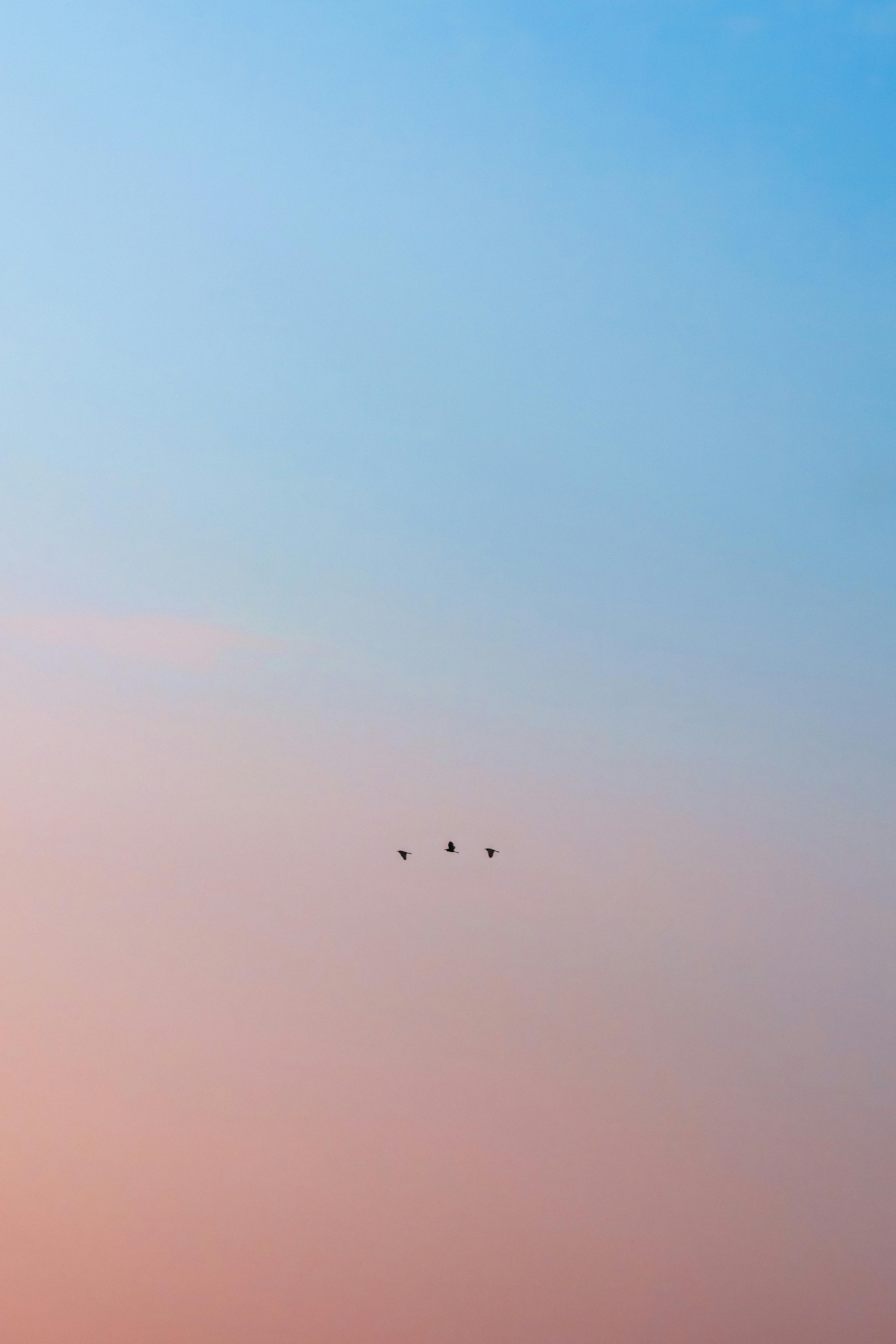 INTP的邏輯推理 vs ESFJ的情感共鳴，誰更能理解他人？