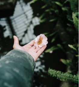 九型人格8號與9號：強勢與溫和的性格對比