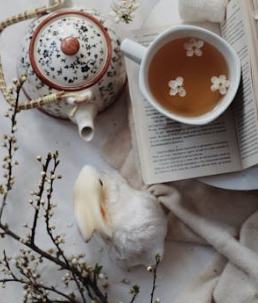 ISTJ 與九型人格：你是哪種類型的完美主義者？